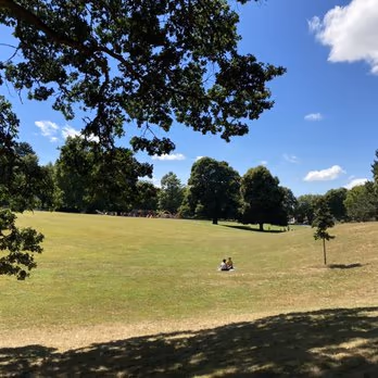 Fernhill Park Off Leash Area photo 2